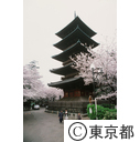 池上本門寺五重塔