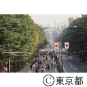 秋の表参道