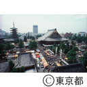 三社祭で賑わう浅草寺