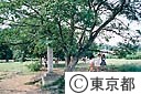 武蔵国分寺跡