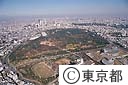 代々木公園と国立代々木競技場第一体育館（空撮）