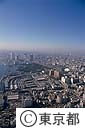 築地中央卸売市場と浜離宮（空撮）
