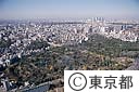 都立青山霊園（空撮）