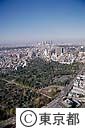 都立青山霊園