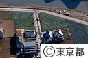 足立区内の農地（空撮）