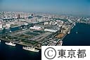 晴海埠頭（空撮）