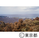 溶岩に埋った阿古の村落