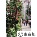 ビストロ横丁