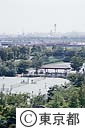 有明テニスの森公園