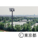有明テニスの森公園