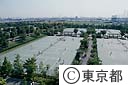 有明テニスの森公園