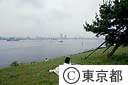 お台場公園