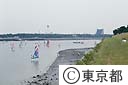 お台場でウインドサーフィン