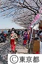桜と日本髪の娘
