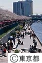 隅田川親水テラス