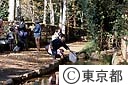 お鷹の道