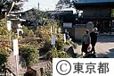 万葉植物園