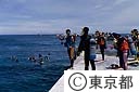 スキューバダイビングをする人達