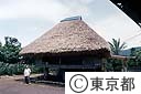八丈島の高倉