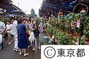 ほおずき市