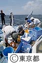海水の水質検査