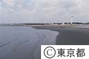 葛西海浜公園人工渚
