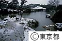 雪の清澄庭園