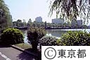 新緑の外堀