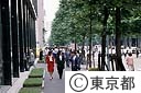 丸の内中通り　街路樹　外人散歩