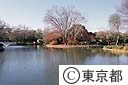 和田堀公園各景色