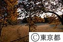 野川公園