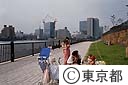 佃より新川を望む　テラス護岸