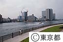 佃より新川を望む（テラス護岸）