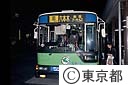 新橋駅東口の深夜バス（グリーンシャトル）