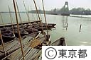 都立水元公園