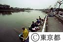 都立水元公園釣仙郷