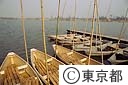 都立水元公園