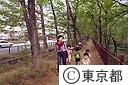 玉川上水沿い自然遊歩道