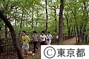 玉川上水沿い自然遊歩道（ジョギングをする大学生）