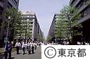 丸の内ビル街　歩行者天国