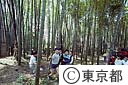 竹林公園で遊ぶ子供達