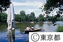 石神井公園ボート池