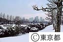 雪の新宿御苑