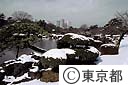 雪の新宿御苑