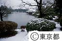 雪の清澄庭園
