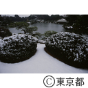 雪の清澄庭園