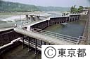 多摩川羽村のせき