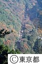 高尾山の紅葉