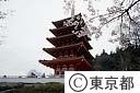 高幡不動五重塔
