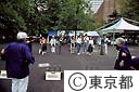 シルバーフェスティバル